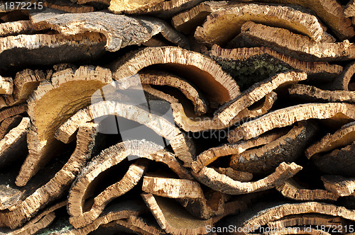 Image of Cork crust