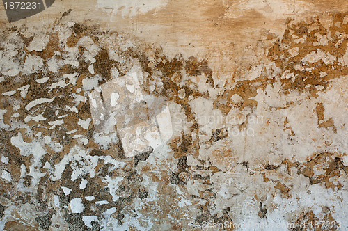 Image of Battered old wall