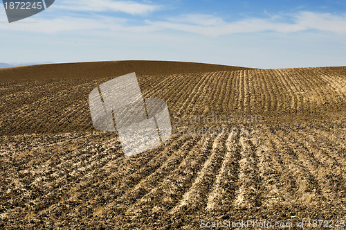 Image of Agricultural land soil and blue sky