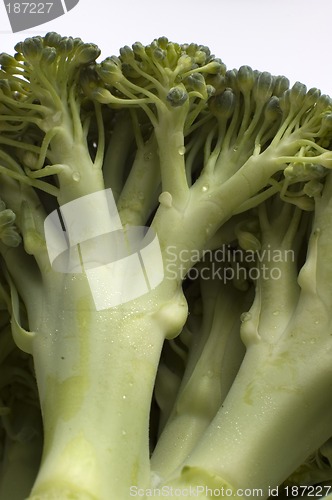 Image of broccoli