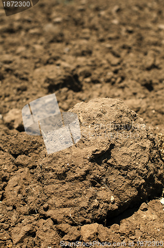 Image of Agricultural land soil close up