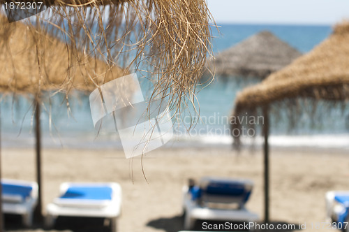 Image of Straw beach umbrellas and sunbeds
