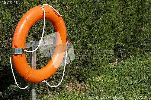 Image of Buoy and green fence