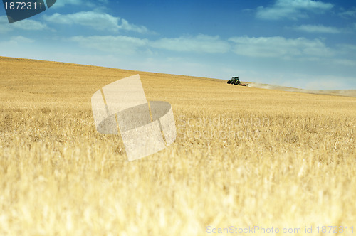 Image of Tractor plowing field