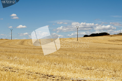 Image of Agricultural land