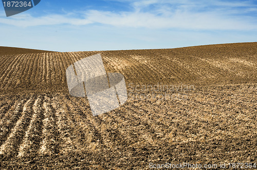 Image of Agricultural land soil and blue sky