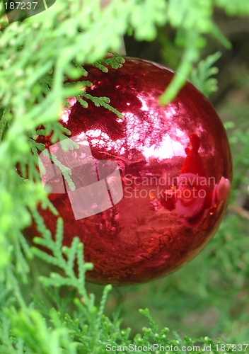 Image of Christmas tree balls