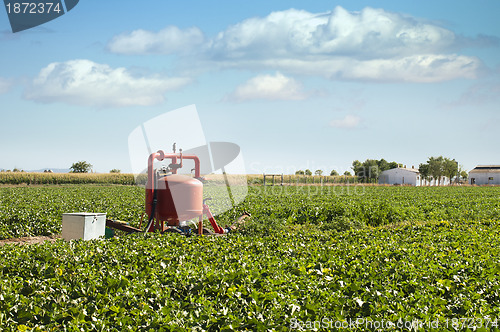 Image of Irrigation systems