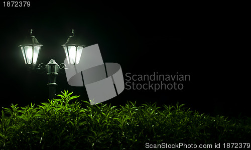 Image of Outdoor Night lamp