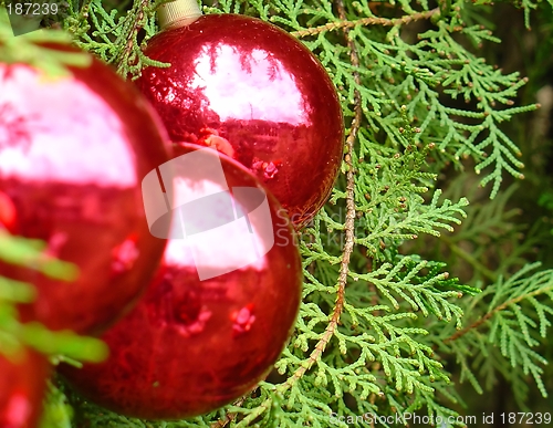 Image of Christmas tree balls