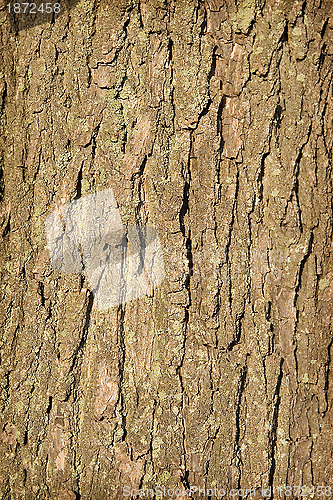 Image of Texture