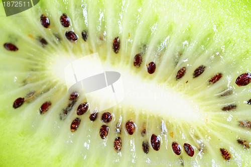 Image of Slices of kiwi fruits