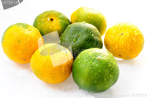 Image of Orange fruits