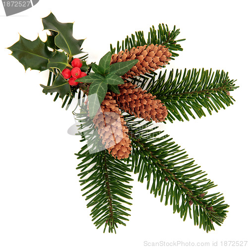 Image of Decorative Winter Spray