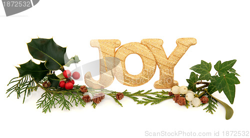 Image of Christmas Joy