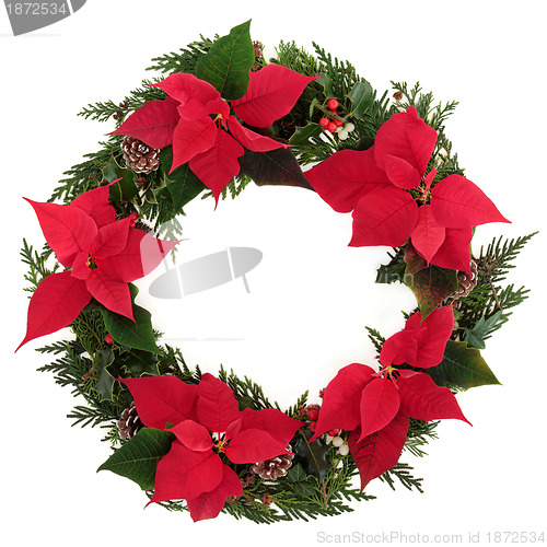 Image of Christmas Poinsettia Wreath