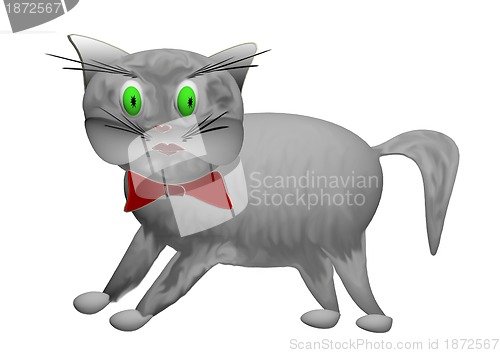 Image of Gray cat