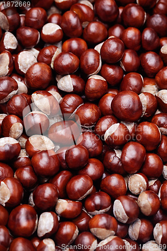 Image of chestnuts