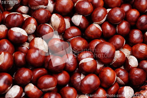 Image of chestnuts