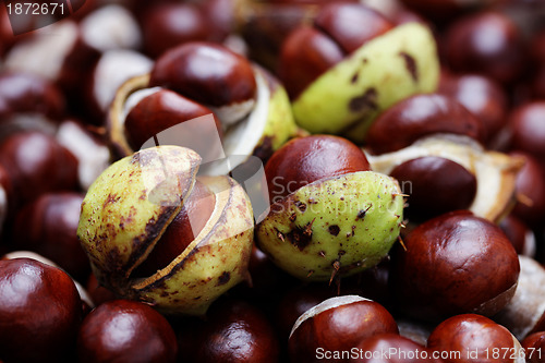 Image of chestnuts