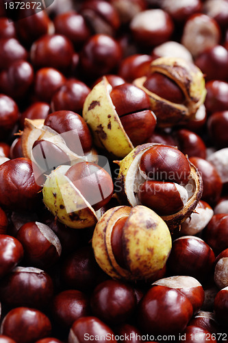 Image of chestnuts