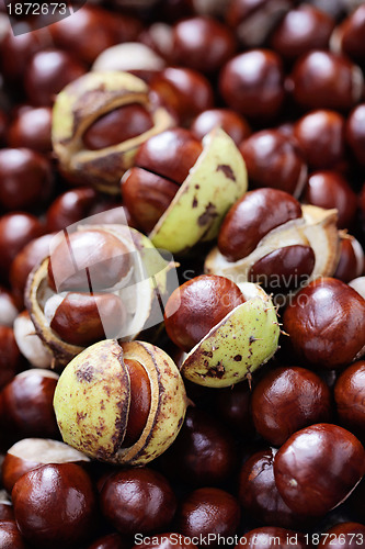 Image of chestnuts