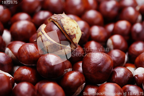 Image of chestnuts