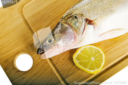 Image of Pike perch on a wooden kitchen board, it is isolated on white