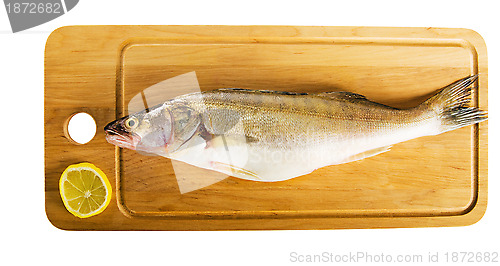 Image of Pike perch on a wooden kitchen board, it is isolated on white