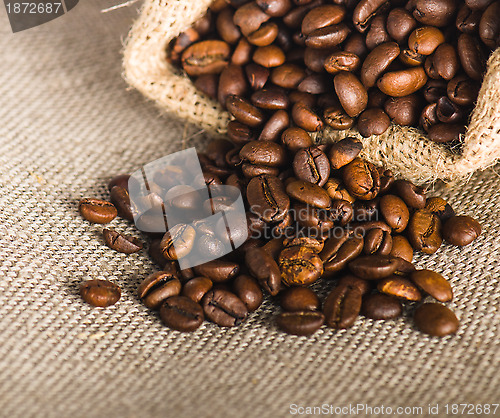 Image of Roasted coffee beans, close-up