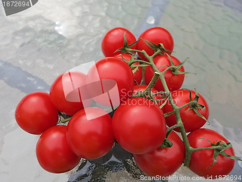 Image of Tomatoes