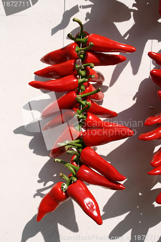 Image of drying pepper bunches