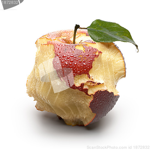 Image of Apple with carved continents. America