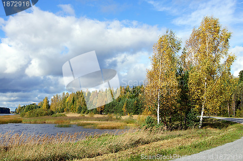 Image of Autumn landscape