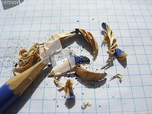 Image of The grinded pencil and sawdust from it