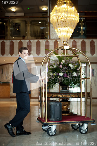 Image of Handsome concierge pushing the luggage cart