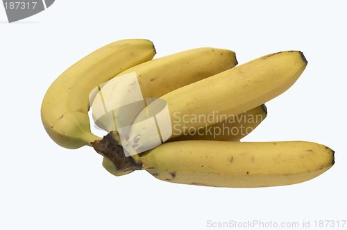 Image of Bunch of bananas