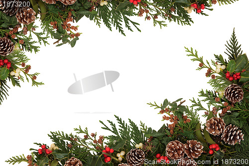 Image of Traditional Winter Border