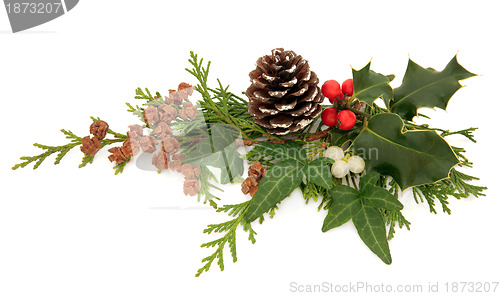 Image of Winter Flora Decoration