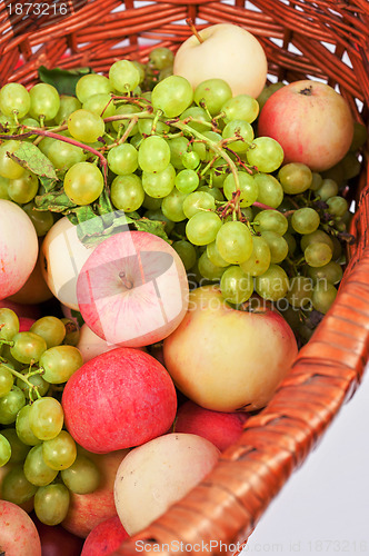 Image of apples and grapes