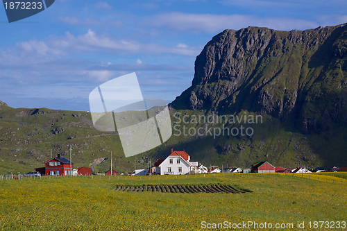 Image of Village on Lofoten