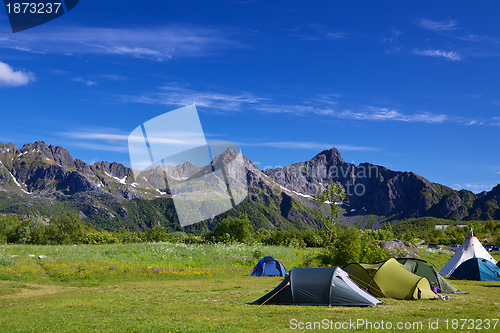 Image of Wildcamping on Lofoten islands