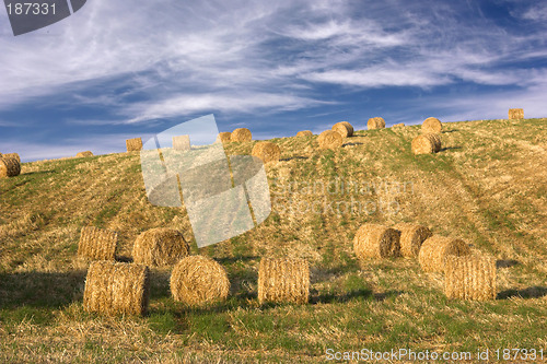 Image of Hay bales