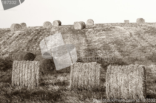 Image of Hay bales