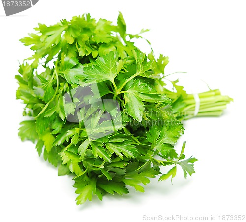 Image of parsley