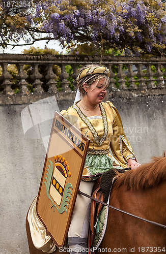 Image of Coat of Arms Bearer from Brunelles