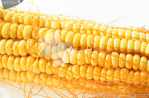 Image of Macro view of corn cob