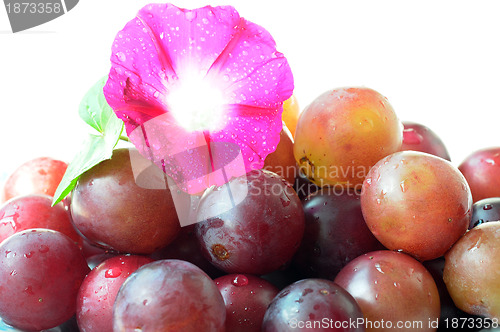 Image of Grapes with a flower