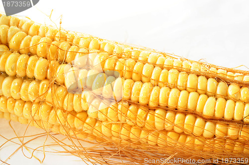 Image of Macro view of corn cob