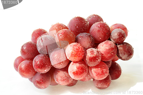 Image of Grapes